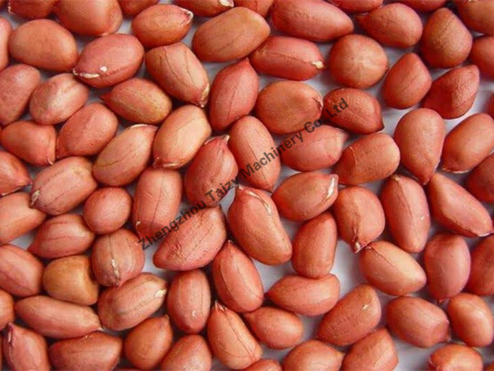 Cacahuètes avant de les décortiquer