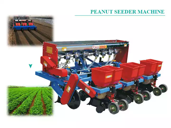 Six-row peanut seeder