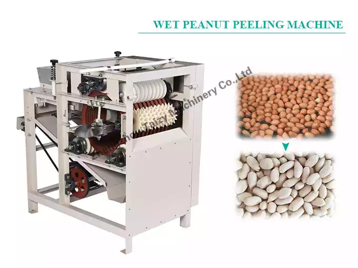 Wet peanut peeler machine for peanut kernel peeling machine