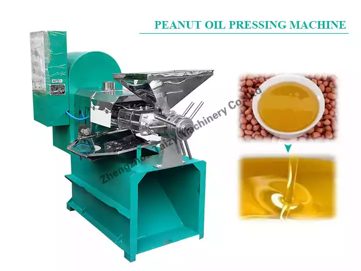 Screw-type peanut oil press machine for groundnut oil extraction