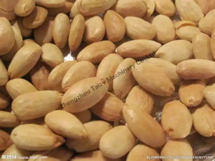 Peanut kernel