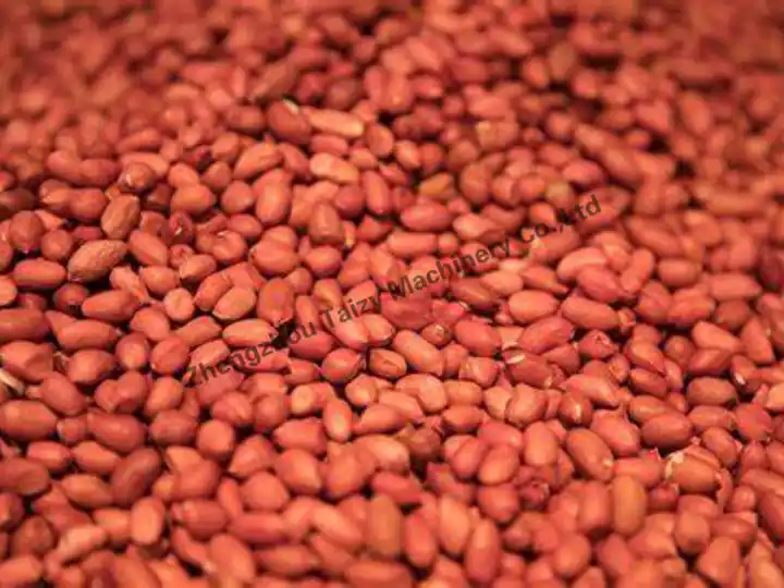 Roasted peanuts