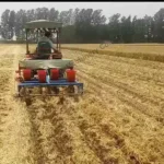 planteuse d'arachides à 4 rangs entraînée par tracteur