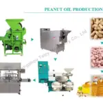 peanut oil production line