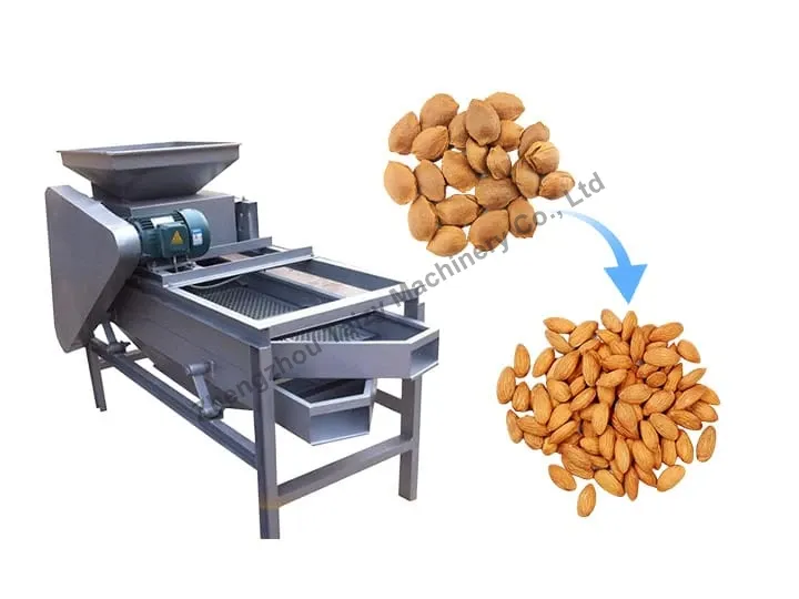 Machine de décorticage des amandes