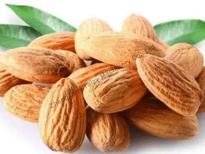 Almond kernel