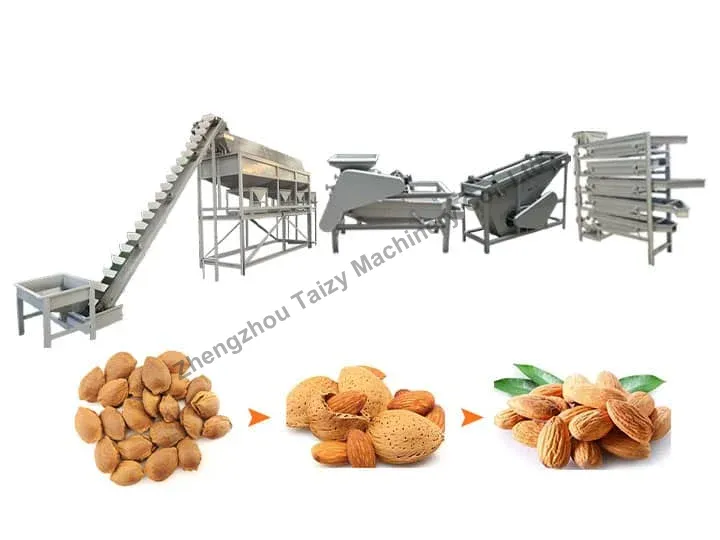 杏仁去壳线