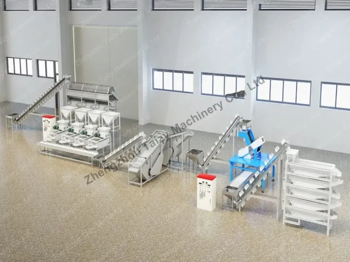 杏仁去壳线的3D图示