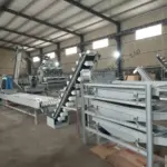 杏仁破壳和去壳线