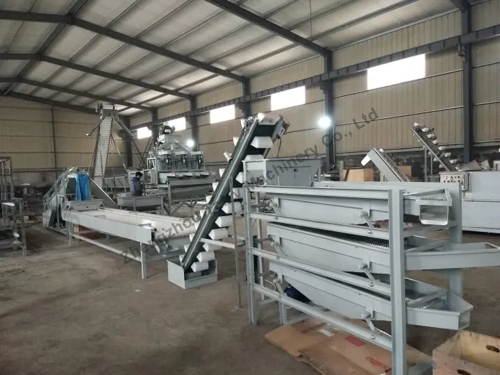 杏仁破壳和去壳线