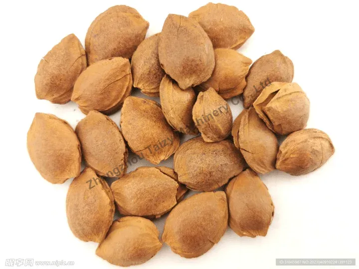 Almond