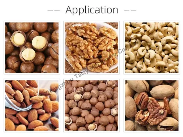 Walnut Shell And Kernel Separator 3 Application of nut shell and kernel separator