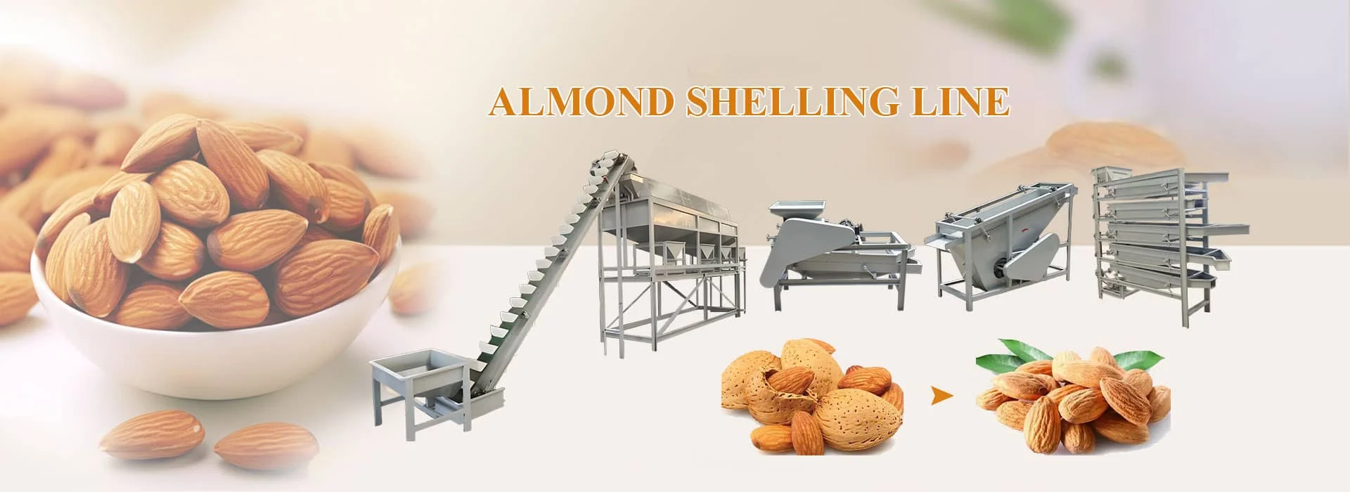 बादाम खोलने की लाइन