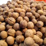 application of walnut pocessing line