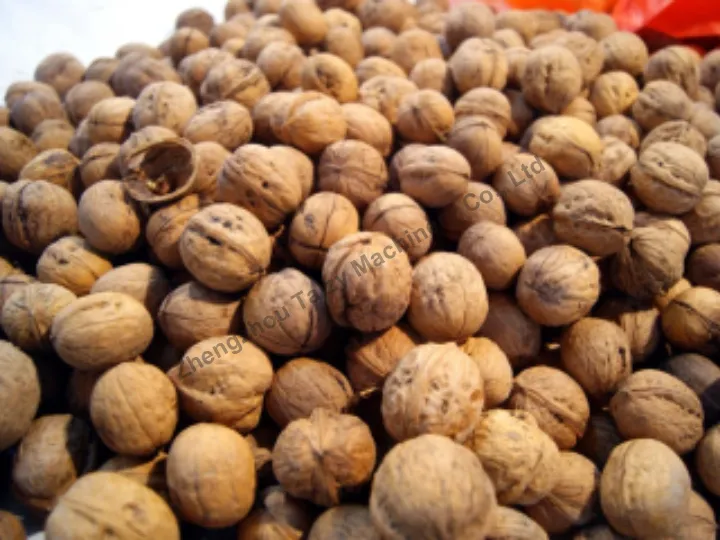 application of walnut pocessing line