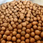 application of walnut shelling line