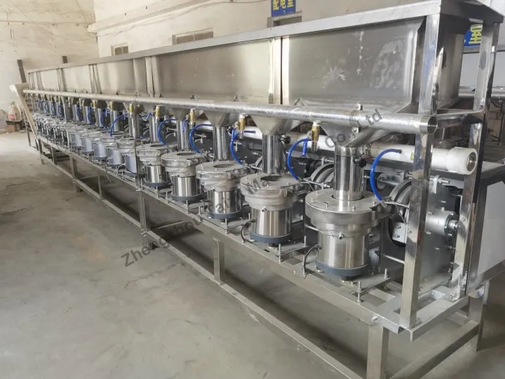 Hazelnut Opening Machine 2 Hazelnut opener machine