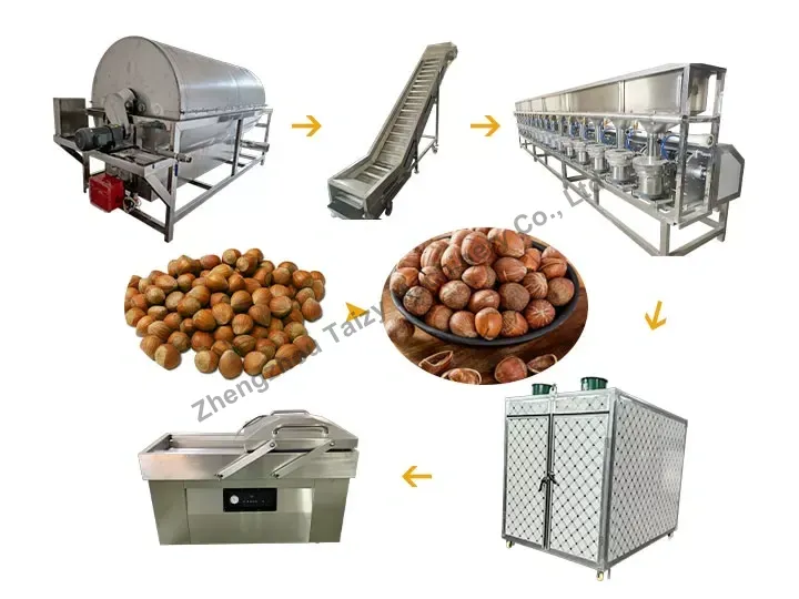 Hazelnut opening line