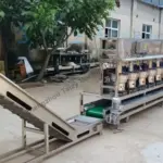 hazelnut opening line