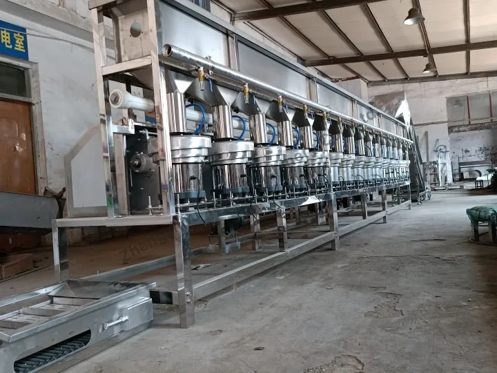 Hazelnut Opening Line 5 Hazelnut opening machine