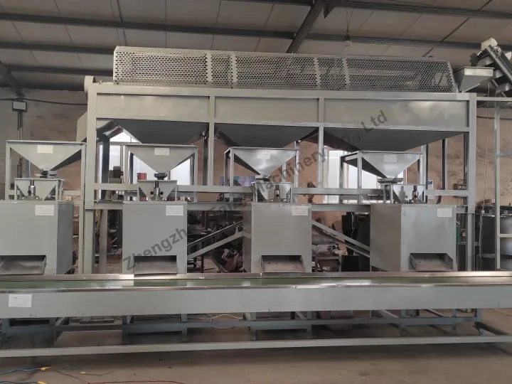 walnut processing line