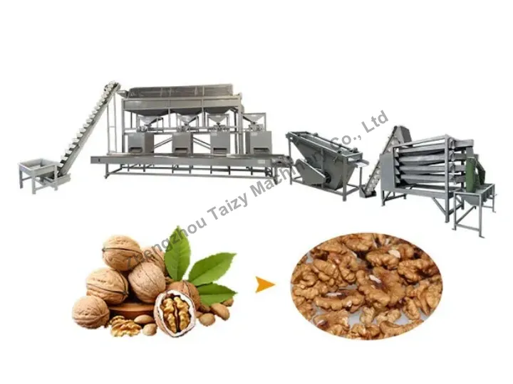 1000kg walnut shelling line
