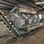 walnut shelling line