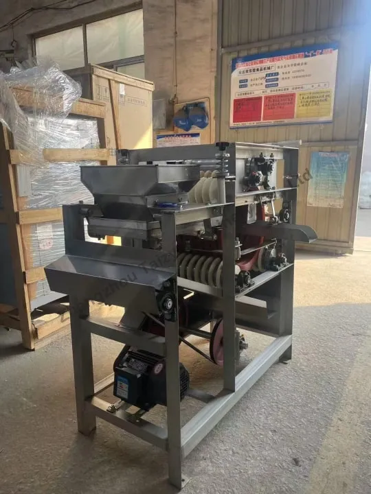 Machine à éplucher la peau des amandes
