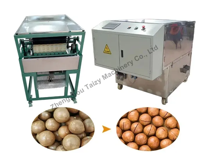 Automatic macadamia nut opening machine