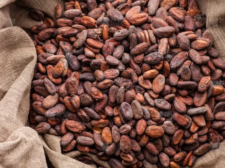 cocoa beans