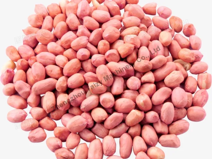 الفول السوداني