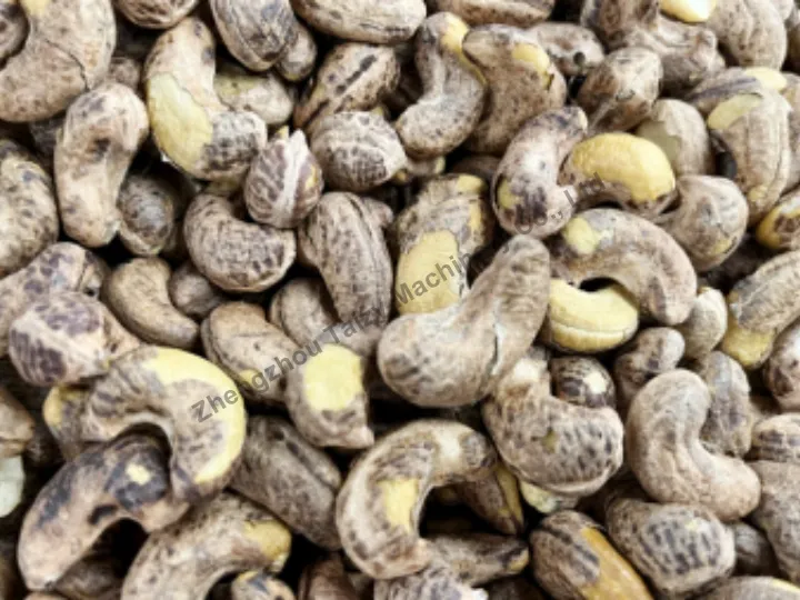 Cashew Peeling Machine 4 Cashew kernels