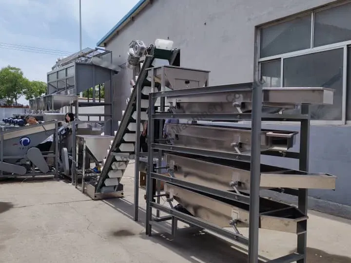 Kernel grading machine