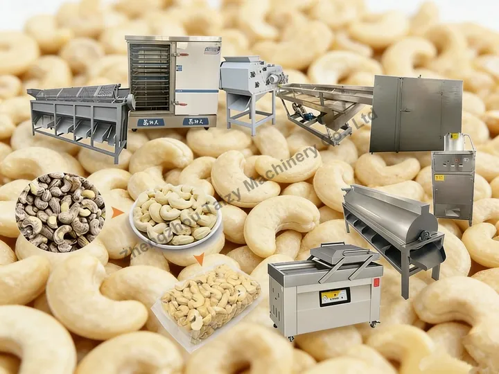 Línea de procesamiento de anacardos 18 La línea de procesamiento de anacardos Taizy de 200 kg/h incluye clasificación, cocción al vapor, descascarado, separación de cáscara y kernel, secado, pelado, clasificación de kernels y envasado al vacío.