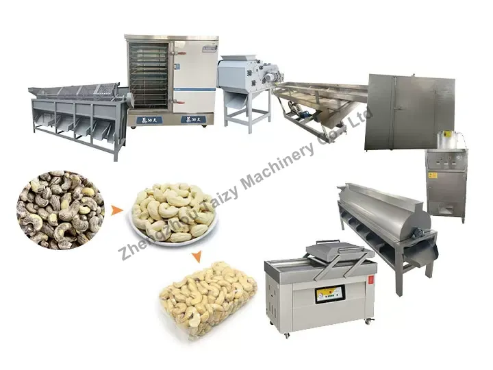 Línea de procesamiento de anacardos