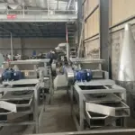 Descascador de nueces de macadamia