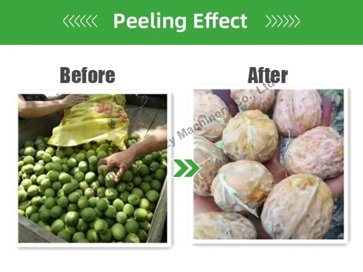 Green Walnut Peeling Machine 3 Peeling effect of green walnut peeler