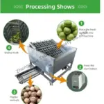 processing shows of walnut green skin peeling machine