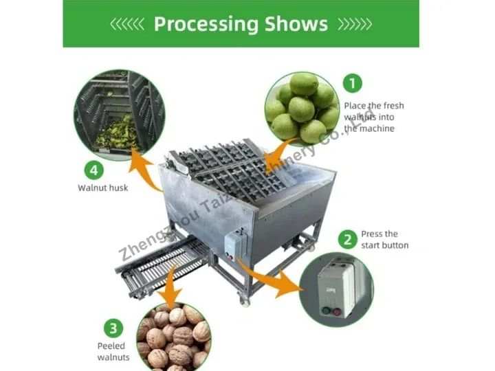 Green Walnut Peeling Machine 2 Processing shows of walnut green skin peeling machine