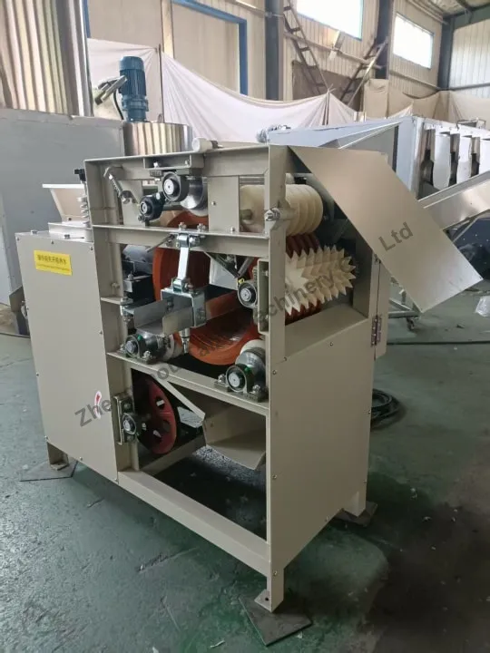 Wet alomnd peeling machine