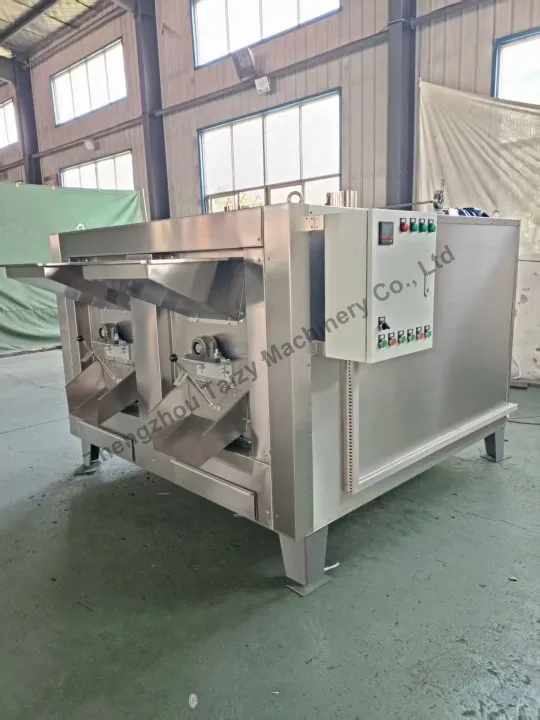 Tanzania Customer Ordered Tz-200 Groundnut Roaster With Electric Heating 5 Peanut roasting machine