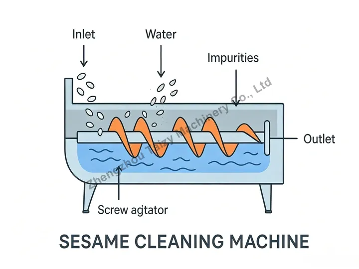 Sesame Cleaning Machine 6 Working principle diagram of sesame cleaning machine